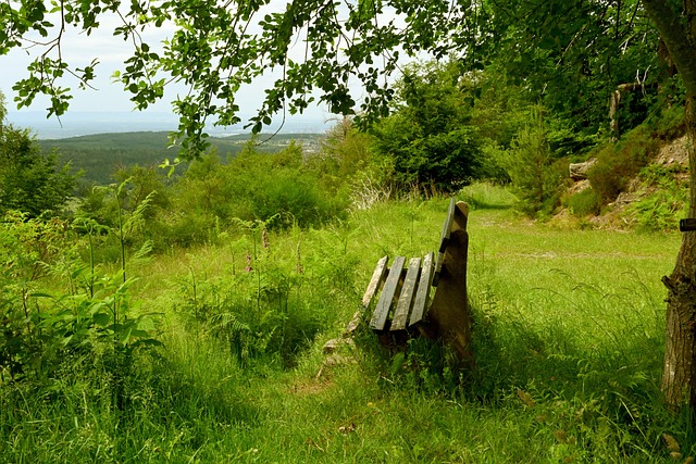 他的重要角 他的重要角