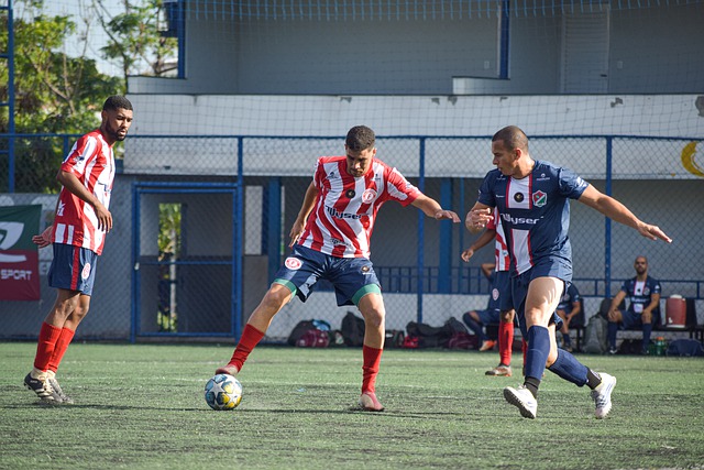 后备力量储 后备力量储