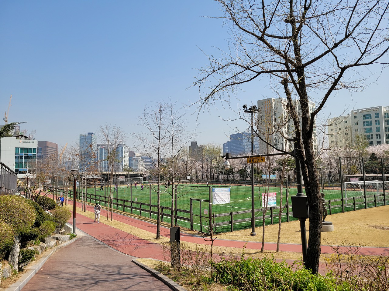 谢鹏飞虽表 谢鹏飞虽表