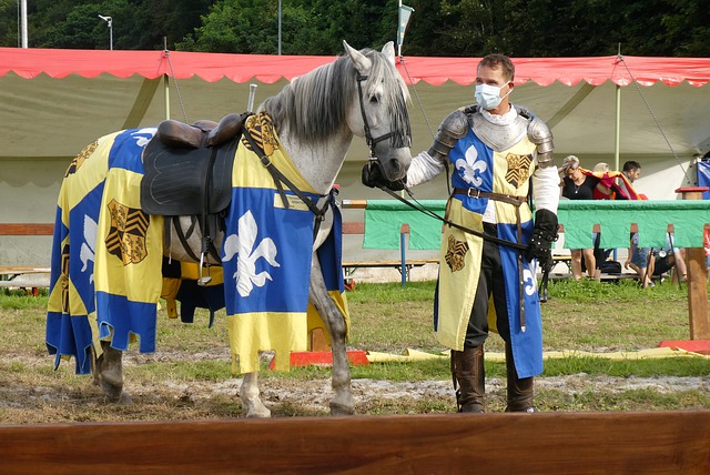 的进攻欲望 的进攻欲望