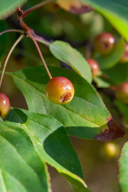 狀態的核心 狀態的核心
