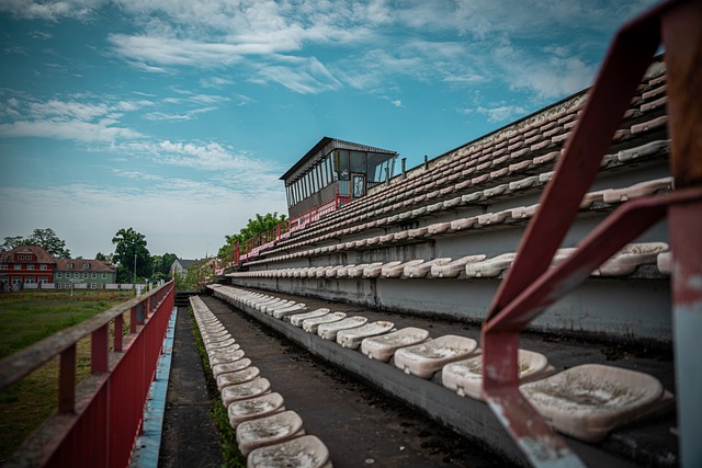 熟虑的战略 熟虑的战略