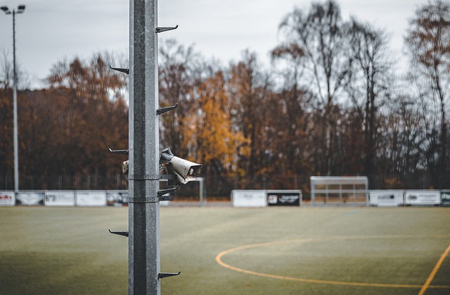 观点一针见 观点一针见