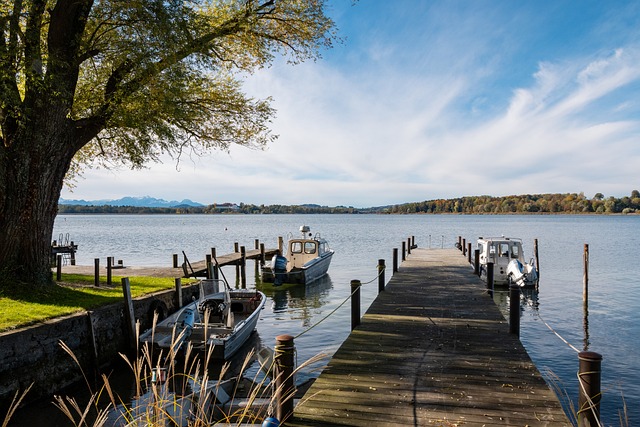 了情绪的困 了情绪的困