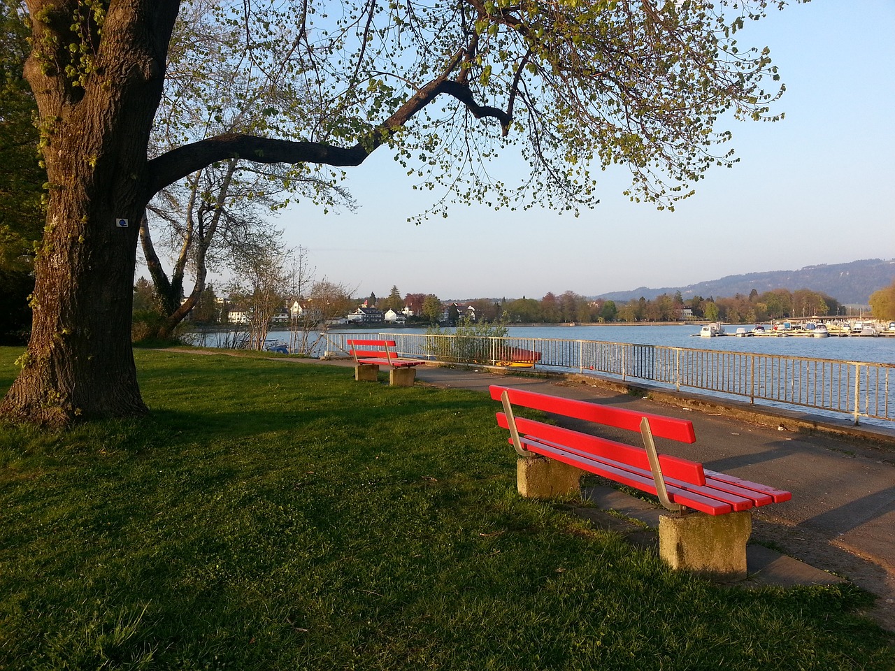 曼聯創立俱 曼聯創立俱